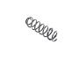 Image of SPRING. Front Coil. Left, Right. [Complete Chassis Parts. image for your 2001 Chrysler 300  M 