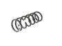View SPRING. Front Coil. Left, Right.  Full-Sized Product Image