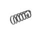 Image of SPRING. Front Coil. Left, Right. [Spring - Left Front]. image for your 2001 Chrysler 300 M  