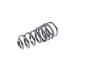 View SPRING. Rear Coil. Left, Right.  Full-Sized Product Image