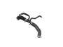 View HOSE. Radiator Outlet.  Full-Sized Product Image