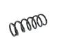 Image of SPRING. Front Coil. Left, Right. [Spring - Left Front]. image for your 2001 Chrysler 300 M  