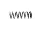 View SPRING. Front Coil. Left, Right.  Full-Sized Product Image