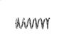 View SPRING. Front Coil. Left, Right.  Full-Sized Product Image