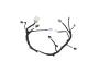 Image of WIRING. Jumper. Console. [Instrument Panel Parts. image for your 2020 Dodge Challenger SRT Hellcat Redeye  