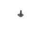 Image of SCREW. Seat. [SEAT PARTS MODULE]. image for your 2019 Ram 1500 5.7L HEMI V8 4WD REBEL Crew Cab 