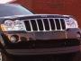 View Chrome Grille, for Laredo models Full-Sized Product Image 1 of 3