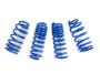 View Suspension Lowering Kit Full-Sized Product Image