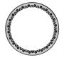 View Beadlock Ring Kit Full-Sized Product Image 1 of 1