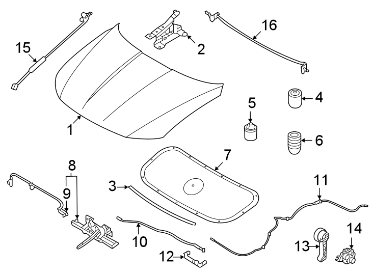 1Hood & components.https://images.simplepart.com/images/parts/motor/fullsize/1003145.png