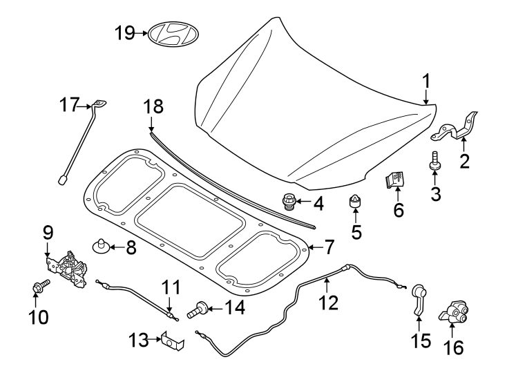 Hood & components.