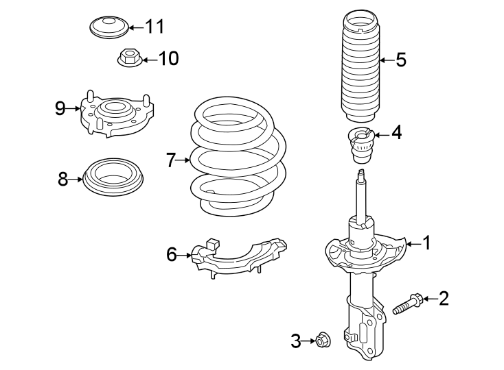 Front suspension. Struts & components.