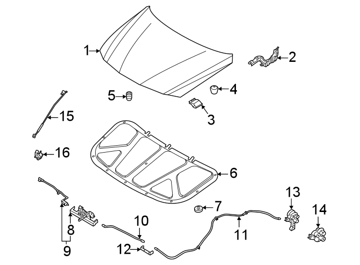 13Hood & components.https://images.simplepart.com/images/parts/motor/fullsize/1008070.png