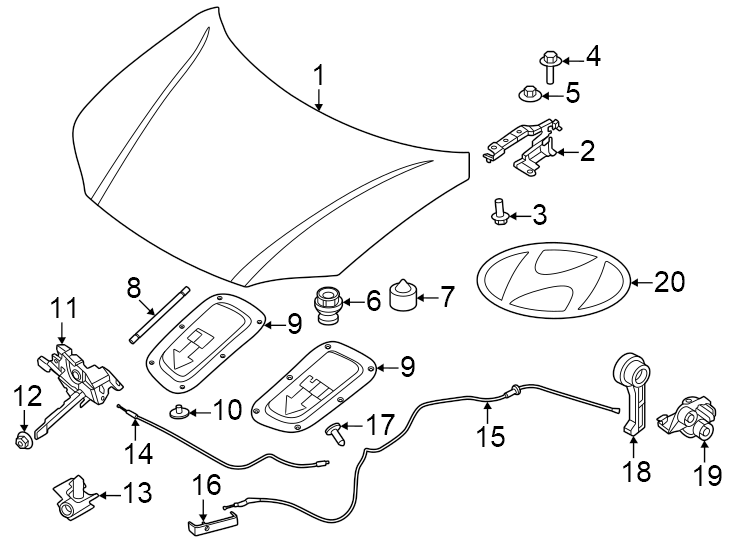 6Hood & components.https://images.simplepart.com/images/parts/motor/fullsize/1016080.png