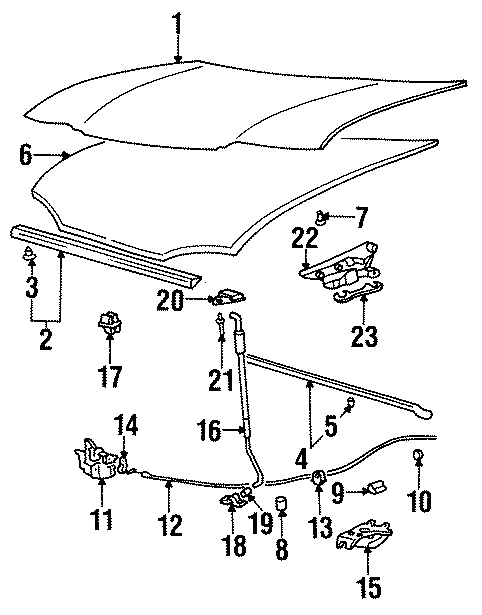 21HOOD & COMPONENTS.https://images.simplepart.com/images/parts/motor/fullsize/1020140.png