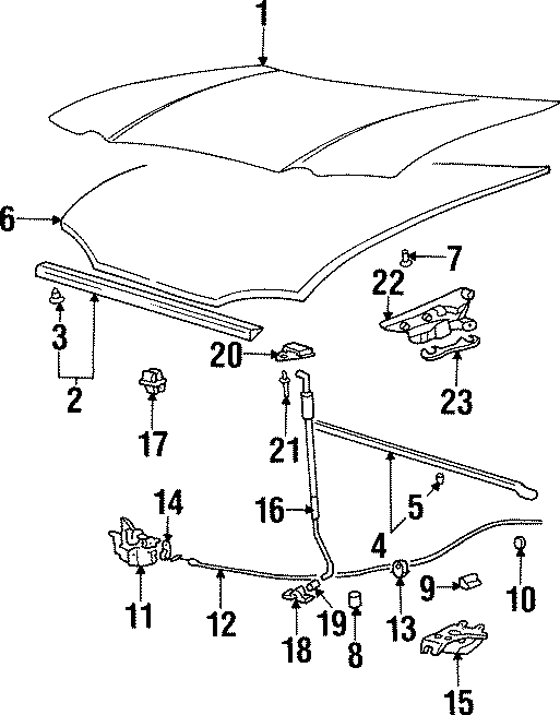 21HOOD & COMPONENTS.https://images.simplepart.com/images/parts/motor/fullsize/1021090.png