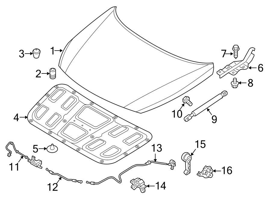 3Hood & components.https://images.simplepart.com/images/parts/motor/fullsize/1027150.png