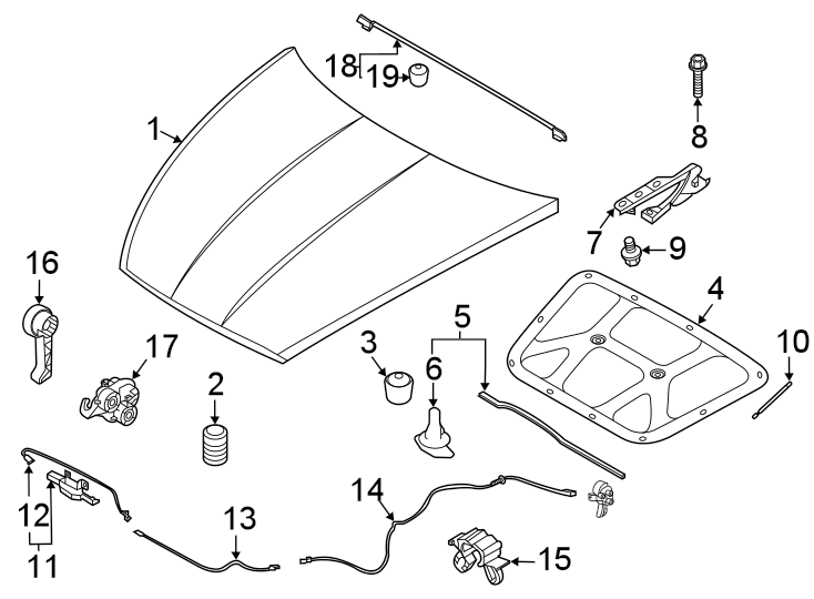 16Hood & components.https://images.simplepart.com/images/parts/motor/fullsize/1028127.png