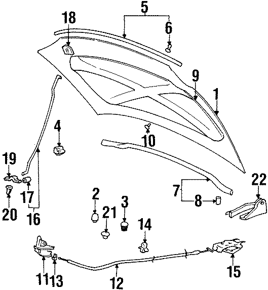 8HOOD & COMPONENTS.https://images.simplepart.com/images/parts/motor/fullsize/1031075.png