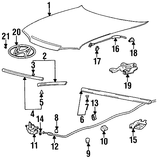 8HOOD & COMPONENTS.https://images.simplepart.com/images/parts/motor/fullsize/1040075.png