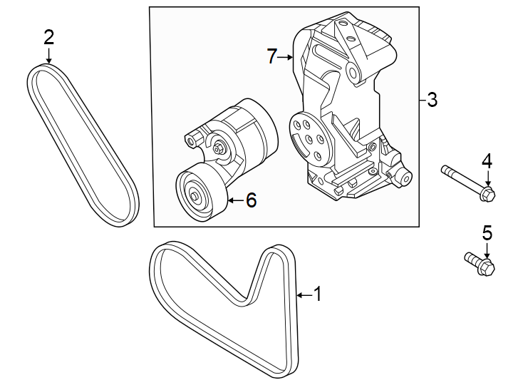 Diagram Belts & pulleys. for your Genesis