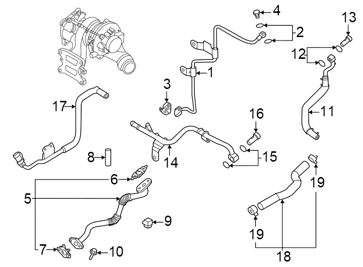 Hoses & pipes.