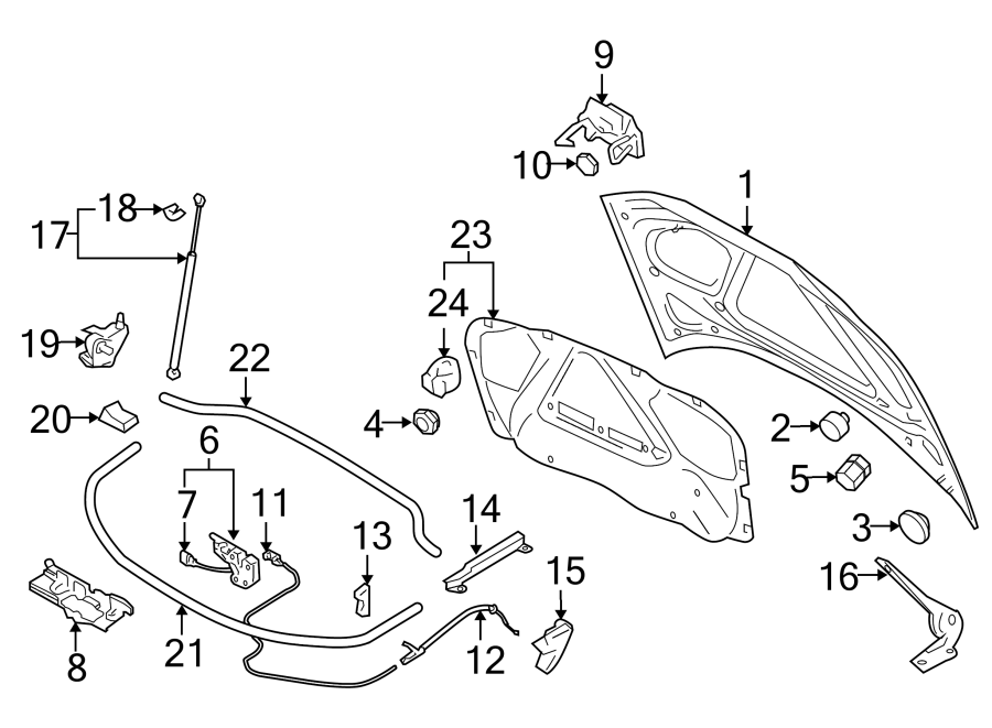 HOOD & COMPONENTS.