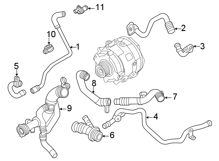 Hoses & lines.