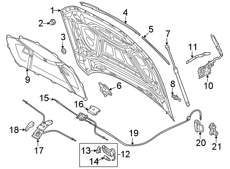 8Hood & components.https://images.simplepart.com/images/parts/motor/fullsize/1333145.png