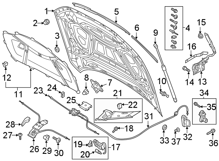 10Hood & components.https://images.simplepart.com/images/parts/motor/fullsize/1337140.png