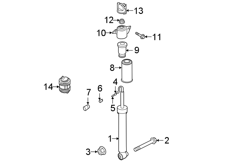 Rear suspension. Shocks & components.