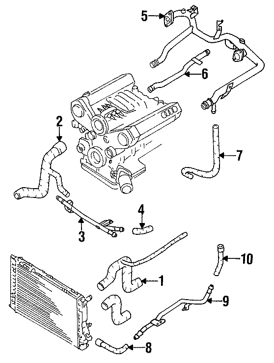 10HOSES.https://images.simplepart.com/images/parts/motor/fullsize/1350076.png