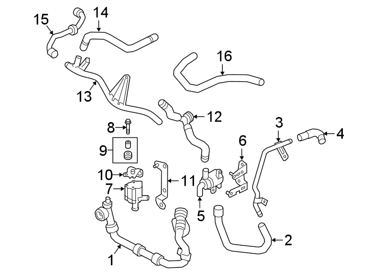 12HOSES & LINES.https://images.simplepart.com/images/parts/motor/fullsize/1372089.png