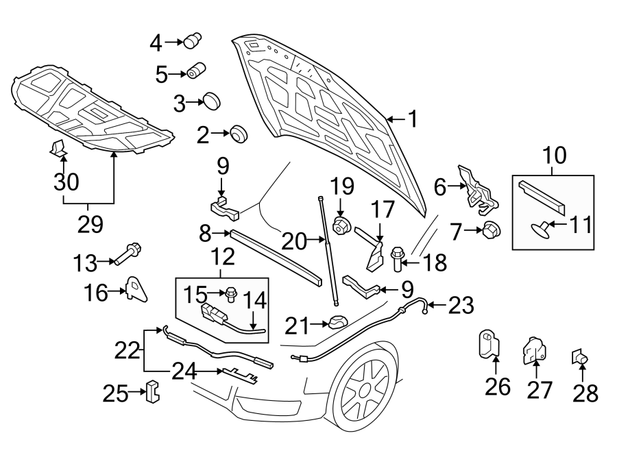 HOOD & COMPONENTS.