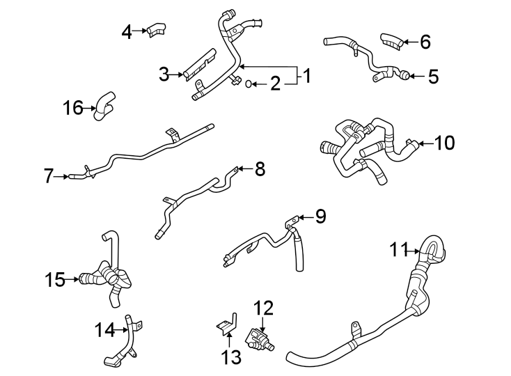 Hoses & lines.