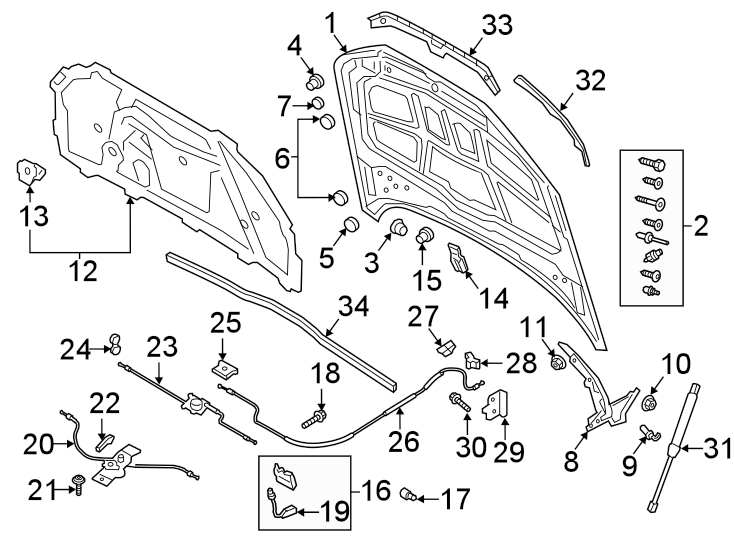 HOOD & COMPONENTS.