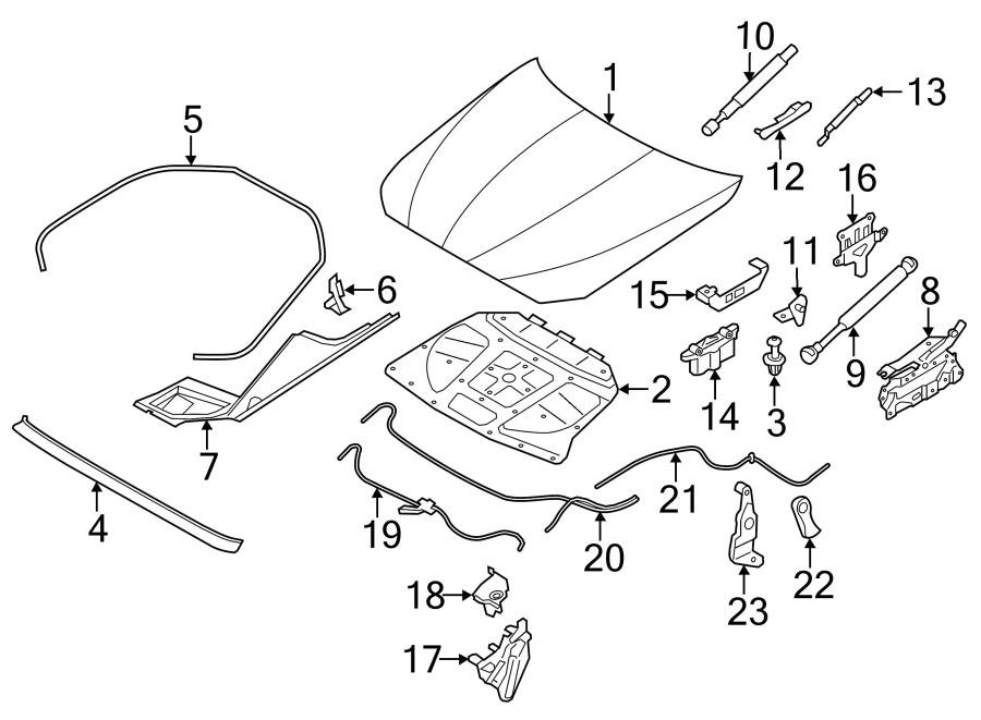 8Hood & components.https://images.simplepart.com/images/parts/motor/fullsize/1913210.png