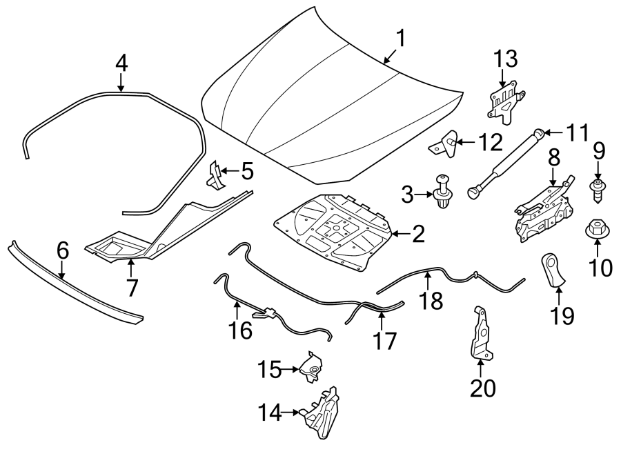 15HOOD & COMPONENTS.https://images.simplepart.com/images/parts/motor/fullsize/1914160.png