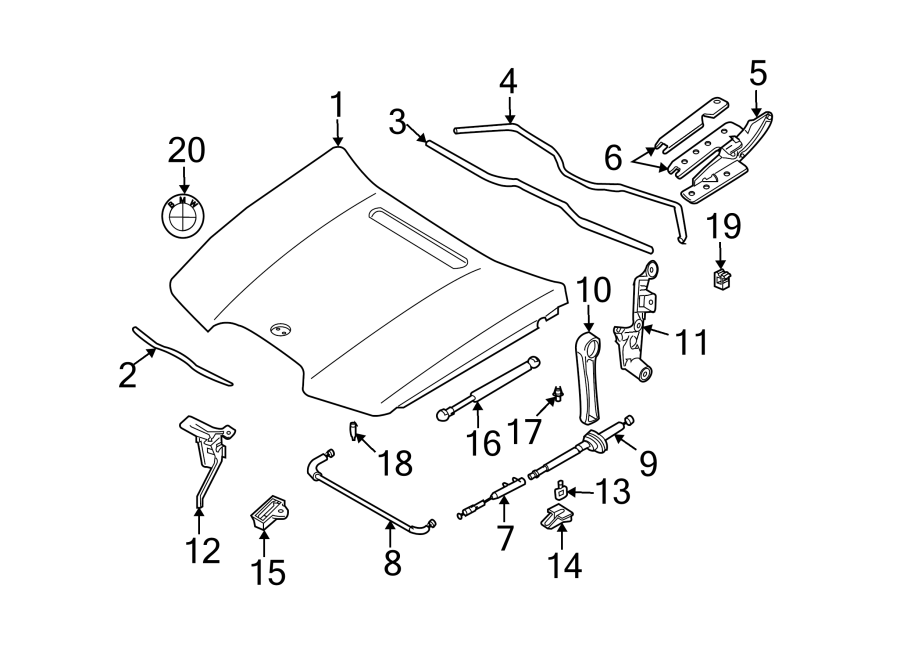 19Hood & grille. Hood & components.https://images.simplepart.com/images/parts/motor/fullsize/1920100.png