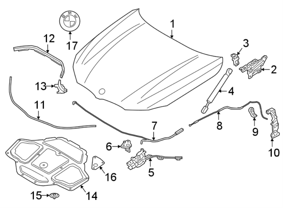 2HOOD & COMPONENTS.https://images.simplepart.com/images/parts/motor/fullsize/1923170.png