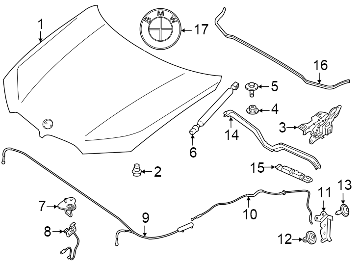 8Hood & components.https://images.simplepart.com/images/parts/motor/fullsize/1927110.png