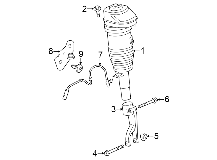 5Front suspension. Struts & components.https://images.simplepart.com/images/parts/motor/fullsize/1927245.png