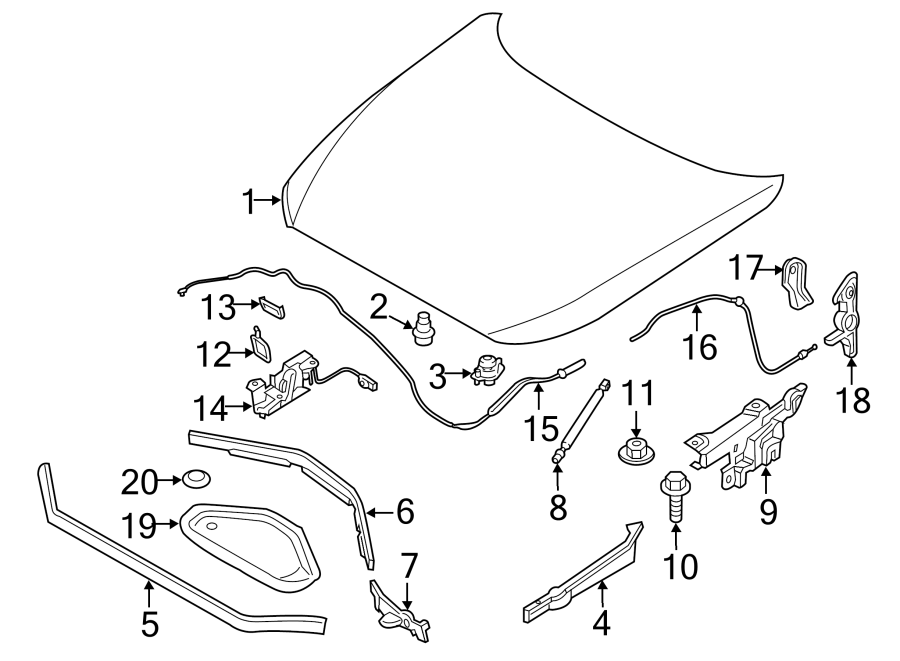 HOOD & COMPONENTS.