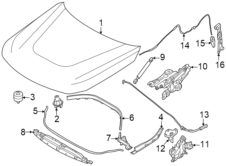 9Hood & components.https://images.simplepart.com/images/parts/motor/fullsize/1928131.png