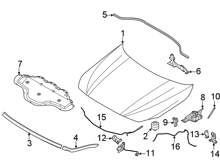 13Hood & components.https://images.simplepart.com/images/parts/motor/fullsize/1929135.png