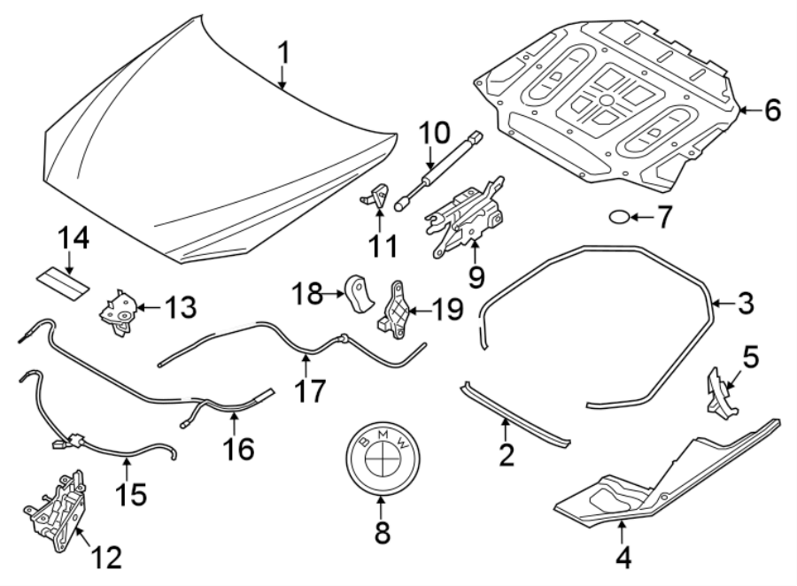 HOOD & COMPONENTS.