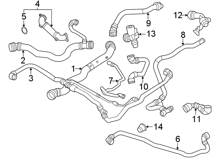 14Radiator hoses.https://images.simplepart.com/images/parts/motor/fullsize/1937069.png