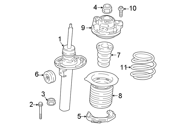 Front suspension. Struts & components.