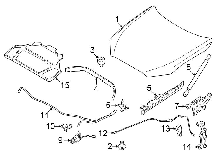 5Hood & components.https://images.simplepart.com/images/parts/motor/fullsize/1939145.png