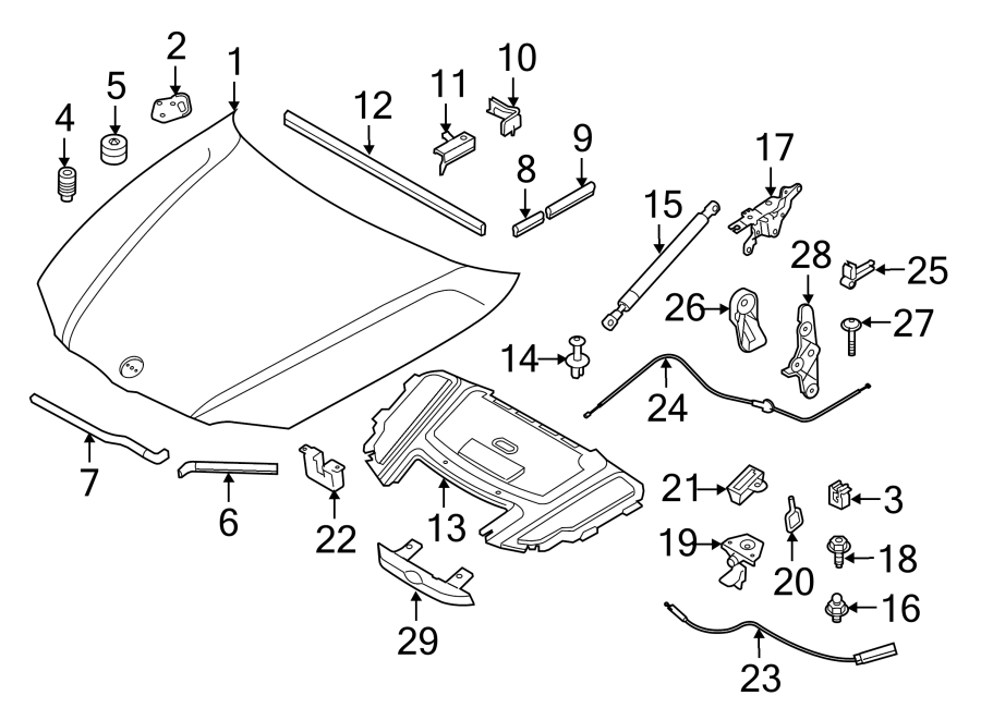 HOOD & COMPONENTS.